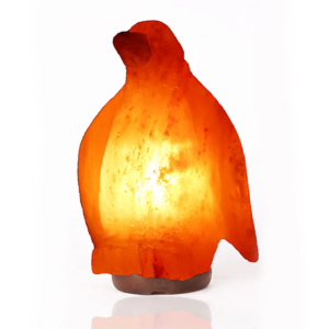 Himalayan Salt Gift Lamp